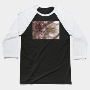 Verdin Nest Building Baseball T-Shirt